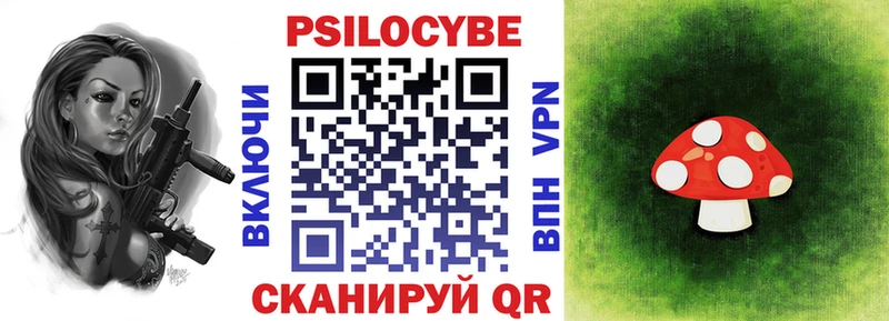 Псилоцибиновые грибы Psilocybe  Спас-Клепики 